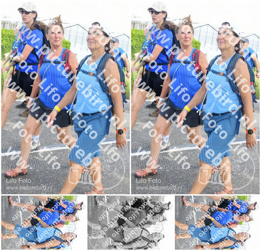 Evenement foto: Nijmeegse Vierdaagse 649