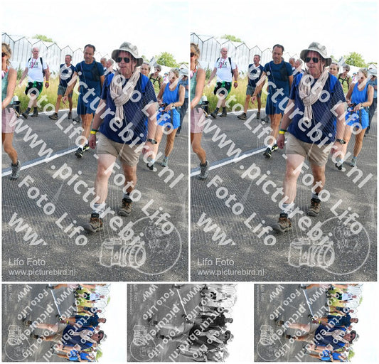 Evenement foto: Nijmeegse Vierdaagse 649