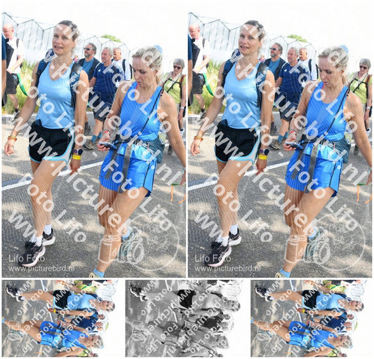 Evenement foto: Nijmeegse Vierdaagse 649