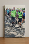 Evenement foto: Nijmeegse Vierdaagse 649