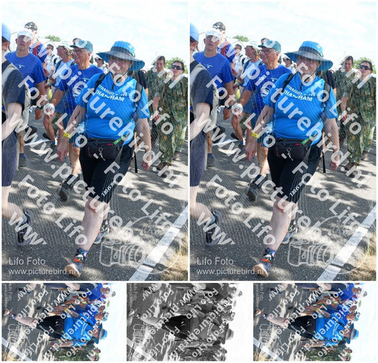 Evenement foto: Nijmeegse Vierdaagse 649