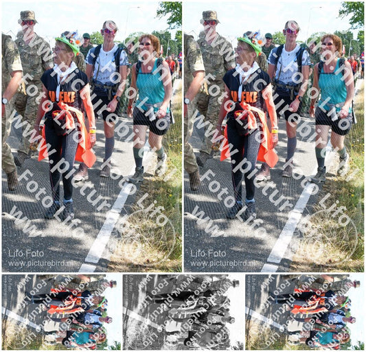Evenement foto: Nijmeegse Vierdaagse 649