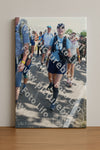 Evenement foto: Nijmeegse Vierdaagse 649