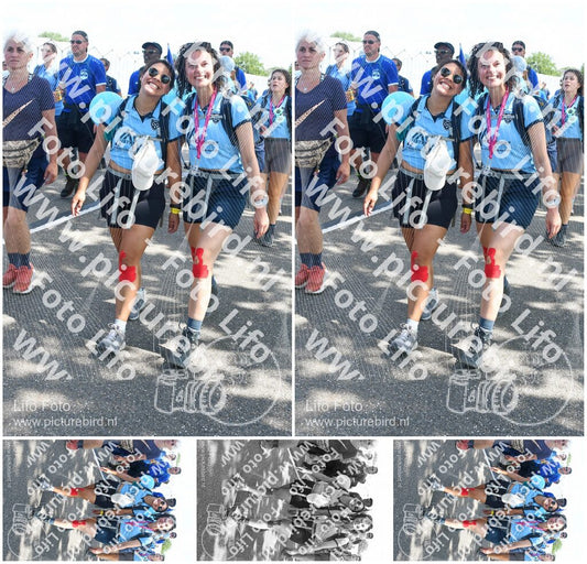 Evenement foto: Nijmeegse Vierdaagse 649
