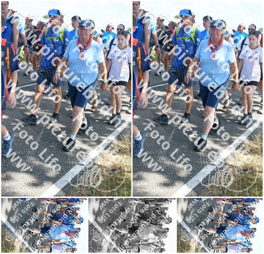 Evenement foto: Nijmeegse Vierdaagse 649