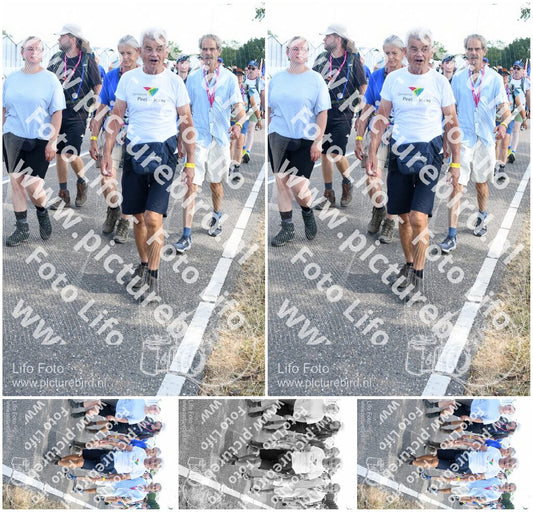 Evenement foto: Nijmeegse Vierdaagse 649