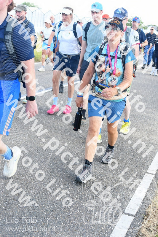 Evenement foto: Nijmeegse Vierdaagse 649