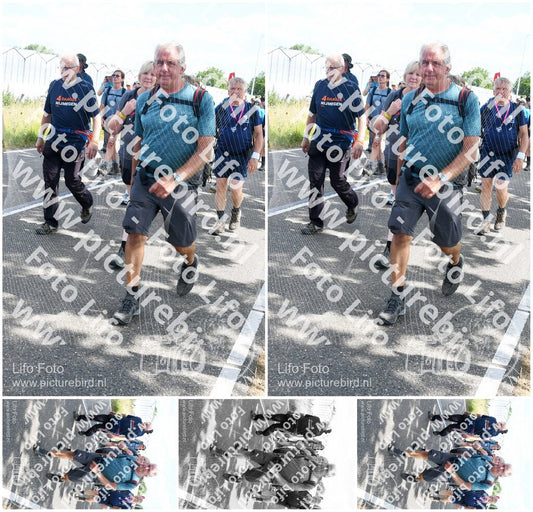 Evenement foto: Nijmeegse Vierdaagse 648
