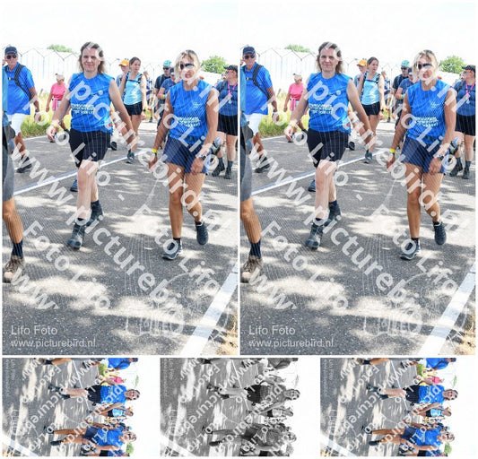 Evenement foto: Nijmeegse Vierdaagse 648