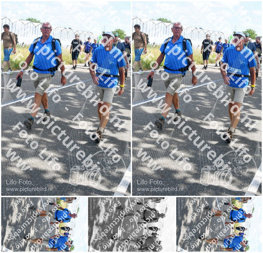 Evenement foto: Nijmeegse Vierdaagse 648