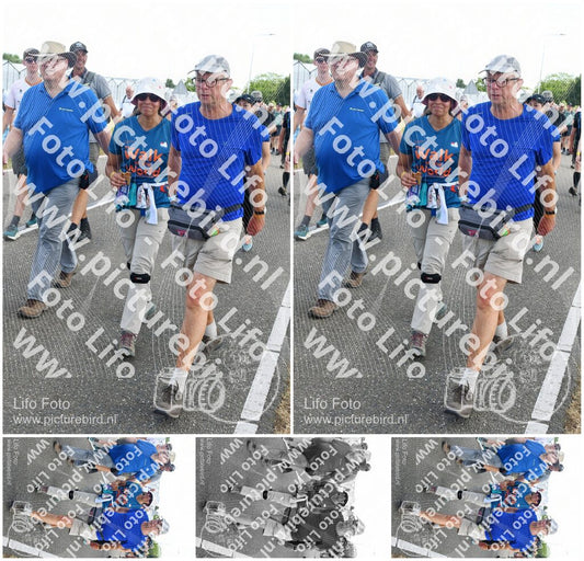 Evenement foto: Nijmeegse Vierdaagse 648