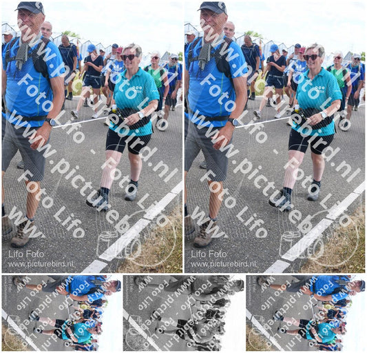 Evenement foto: Nijmeegse Vierdaagse 647