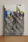 Evenement foto: Nijmeegse Vierdaagse 647