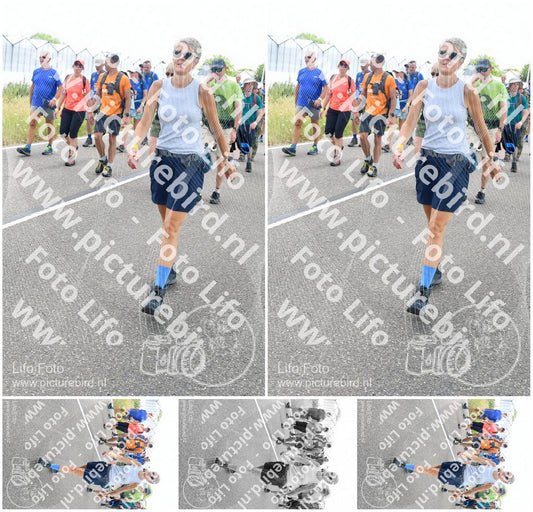 Evenement foto: Nijmeegse Vierdaagse 647