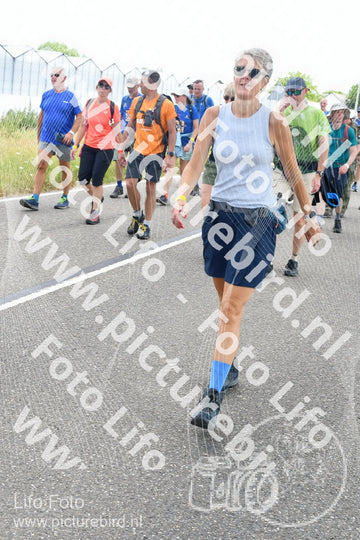 Evenement foto: Nijmeegse Vierdaagse 647