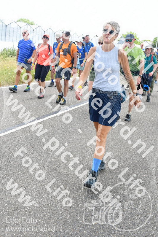 Evenement foto: Nijmeegse Vierdaagse 647