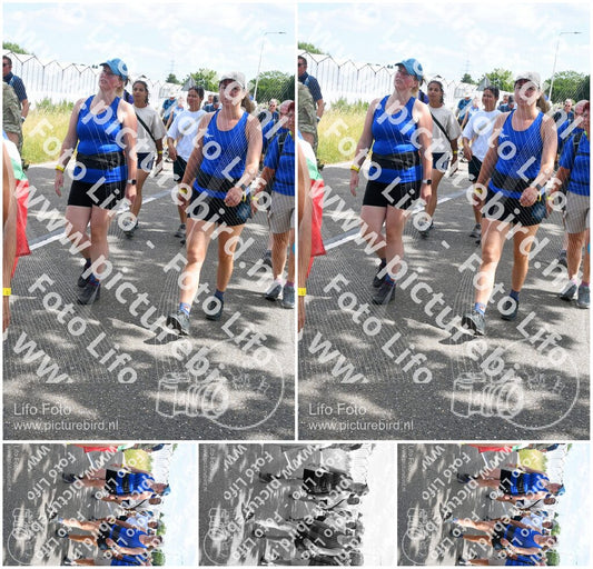 Evenement foto: Nijmeegse Vierdaagse 647