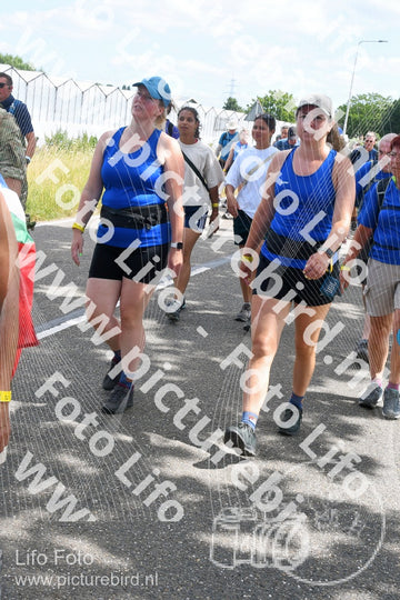 Evenement foto: Nijmeegse Vierdaagse 647