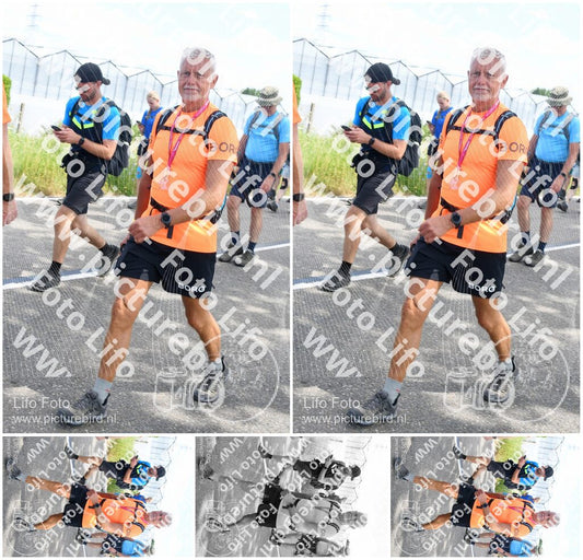 Evenement foto: Nijmeegse Vierdaagse 647