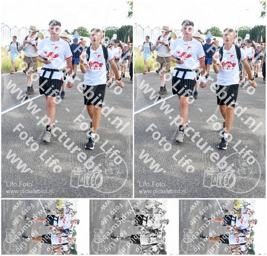 Evenement foto: Nijmeegse Vierdaagse 647