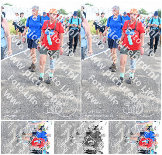 Evenement foto: Nijmeegse Vierdaagse 647