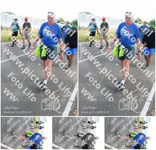 Evenement foto: Nijmeegse Vierdaagse 647