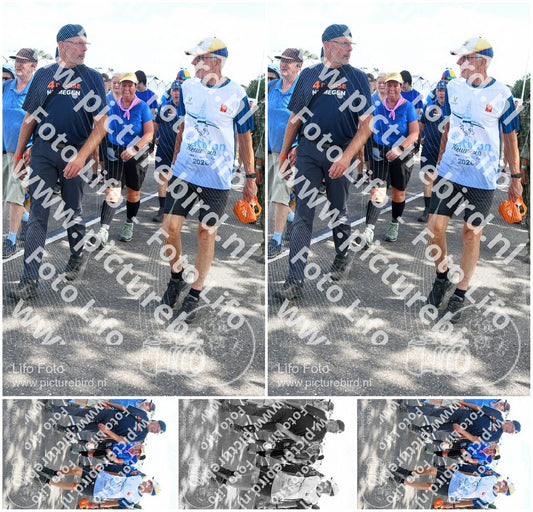 Evenement foto: Nijmeegse Vierdaagse 647
