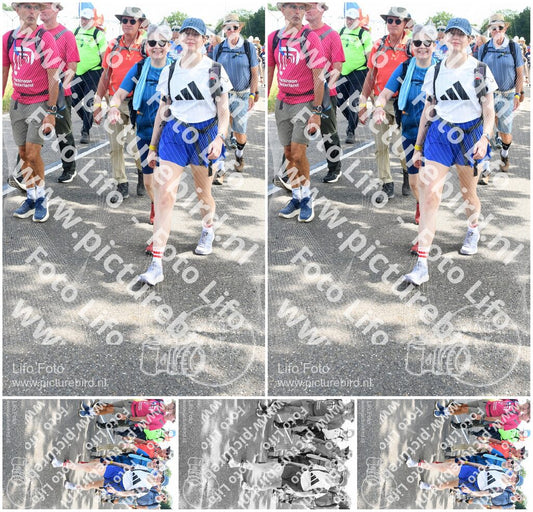 Evenement foto: Nijmeegse Vierdaagse 647