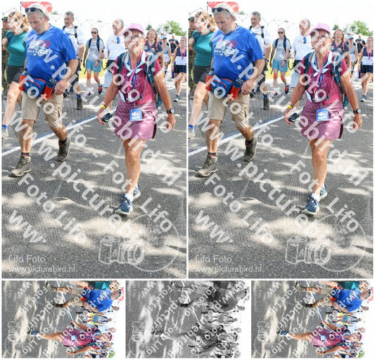 Evenement foto: Nijmeegse Vierdaagse 647