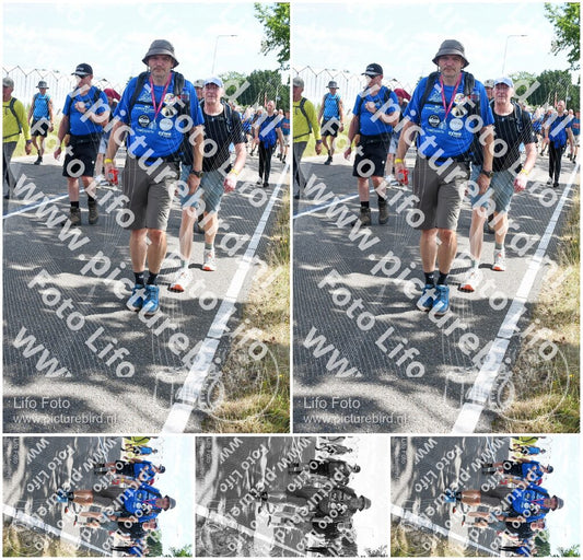 Evenement foto: Nijmeegse Vierdaagse 646