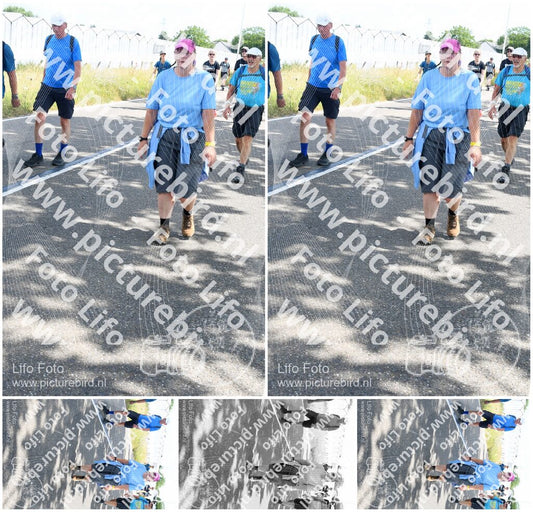 Evenement foto: Nijmeegse Vierdaagse 646