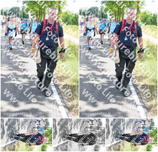 Evenement foto: Nijmeegse Vierdaagse 646