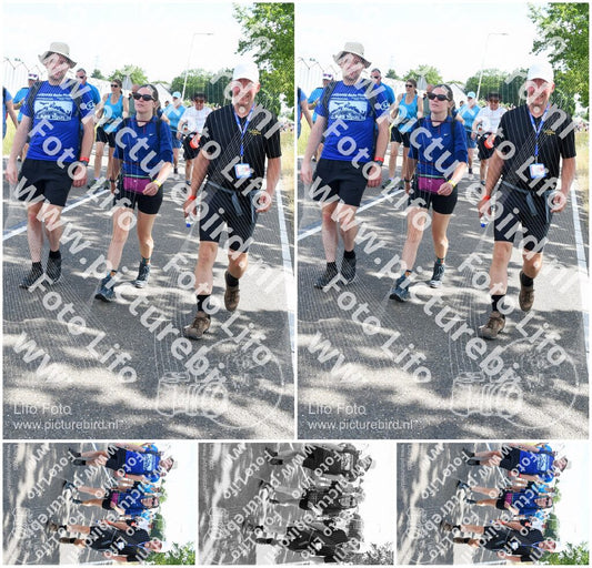 Evenement foto: Nijmeegse Vierdaagse 646