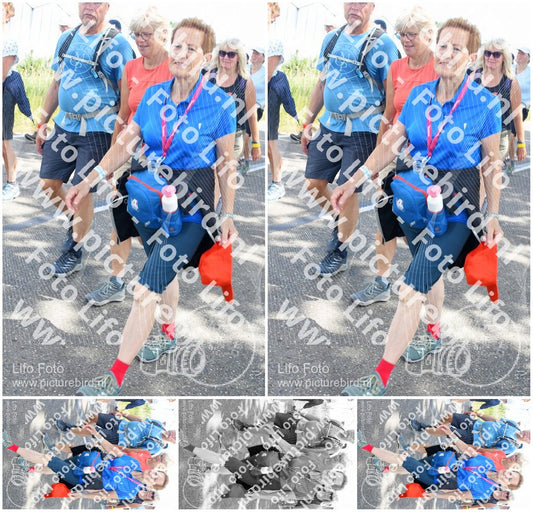 Evenement foto: Nijmeegse Vierdaagse 646