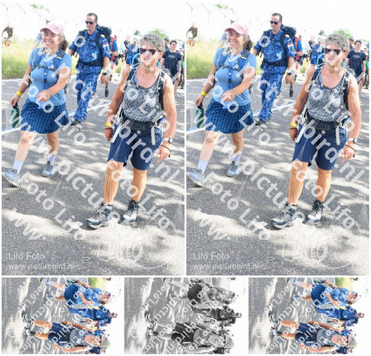 Evenement foto: Nijmeegse Vierdaagse 646