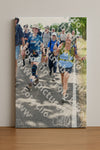 Evenement foto: Nijmeegse Vierdaagse 646