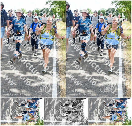Evenement foto: Nijmeegse Vierdaagse 646