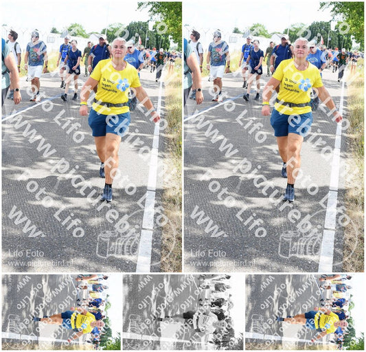 Evenement foto: Nijmeegse Vierdaagse 646