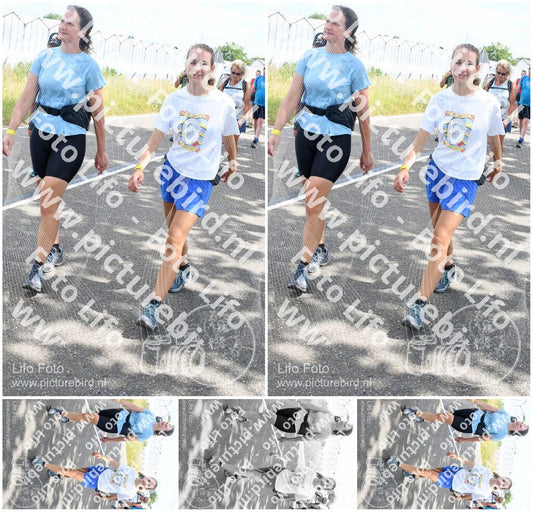 Evenement foto: Nijmeegse Vierdaagse 646