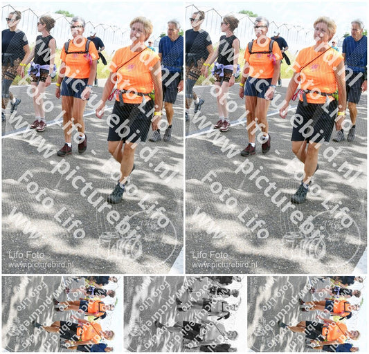 Evenement foto: Nijmeegse Vierdaagse 646