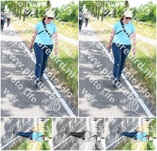 Evenement foto: Nijmeegse Vierdaagse 645