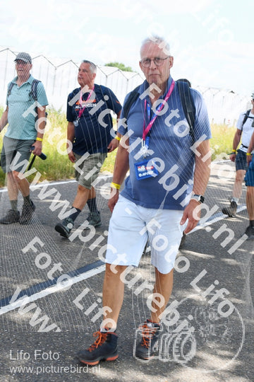 Evenement foto: Nijmeegse Vierdaagse 645