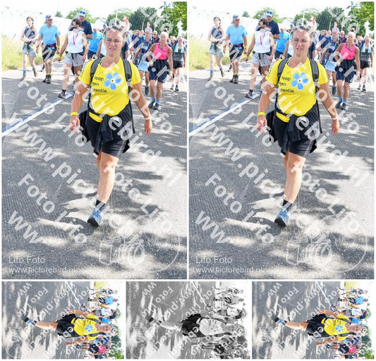 Evenement foto: Nijmeegse Vierdaagse 645