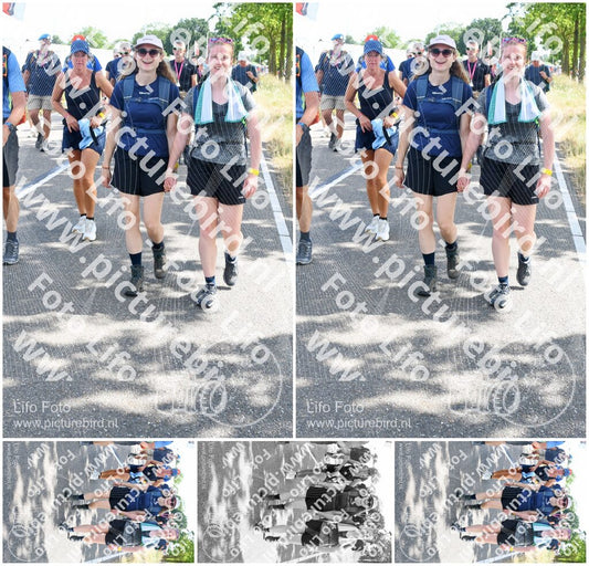 Evenement foto: Nijmeegse Vierdaagse 645