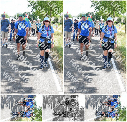 Evenement foto: Nijmeegse Vierdaagse 645