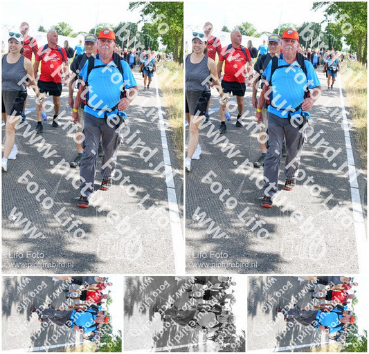 Evenement foto: Nijmeegse Vierdaagse 645