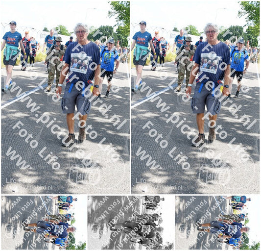 Evenement foto: Nijmeegse Vierdaagse 645