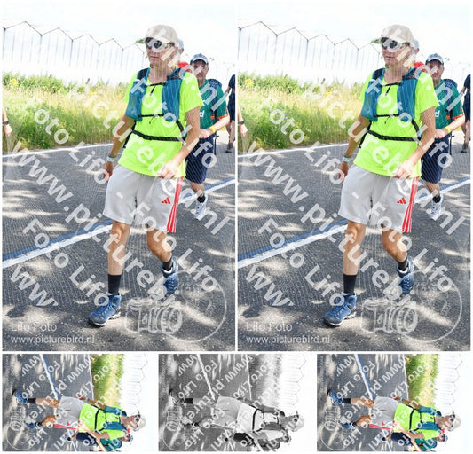 Evenement foto: Nijmeegse Vierdaagse 645