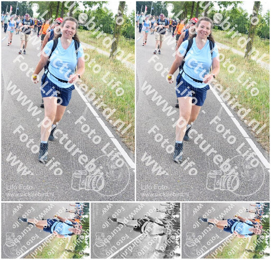Evenement foto: Nijmeegse Vierdaagse 644