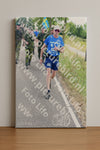 Evenement foto: Nijmeegse Vierdaagse 644